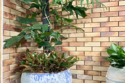 So sánh vật liệu chịu lửa, bảo ôn và cách nhiệt